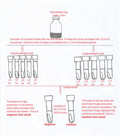 mpn microbiology|Basic techniques for microbial enumeration by the most probable .